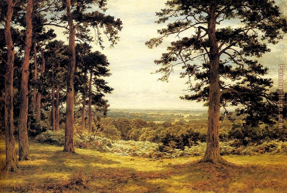 A Peep Through The Pines painting - Benjamin Williams Leader A Peep Through The Pines art painting